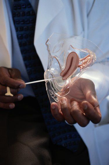 Vaginal Discharge Colours and What They Mean