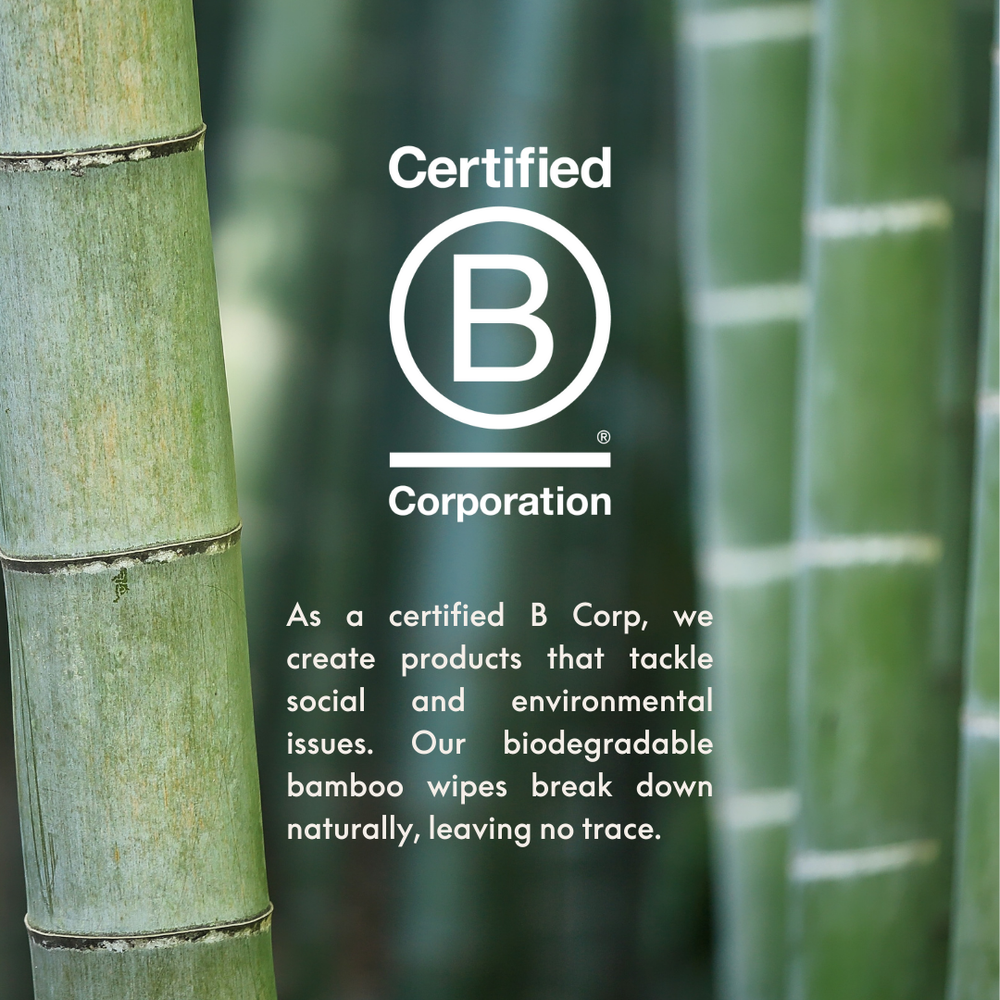 Biodegradable Bamboo Wipes