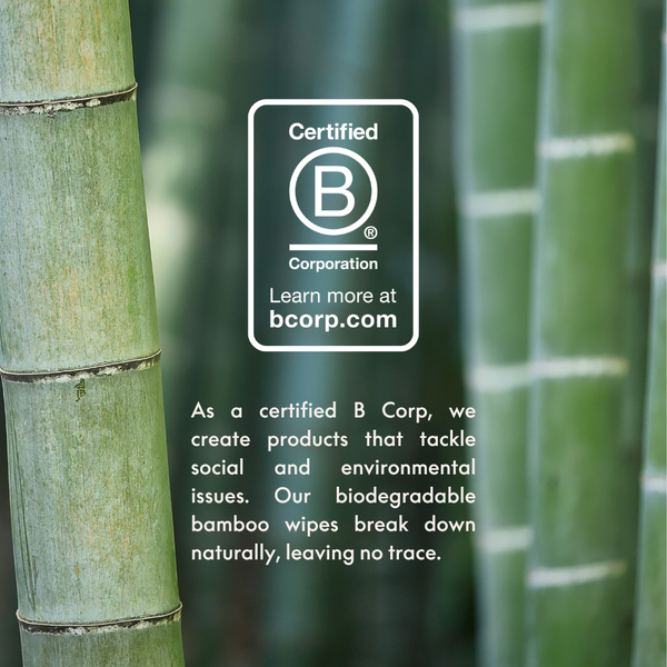 Biodegradable Bamboo Wipes